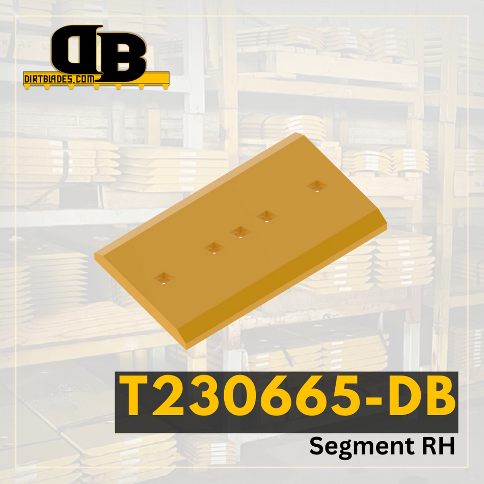 T230665-DB | Segment RH